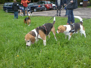 DSC01407 DSC01407