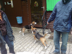 DSC01430 DSC01430