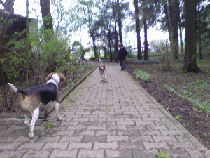 DSC01436 DSC01436