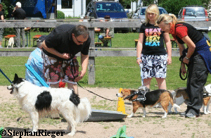 a_Hundefest_Juli_2010_211_1 a_Hundefest_Juli_2010_211_1