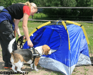 a_Hundefest_Juli_2010_213_1 a_Hundefest_Juli_2010_213_1