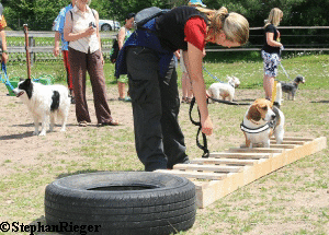 a_Hundefest_Juli_2010_216_1 a_Hundefest_Juli_2010_216_1